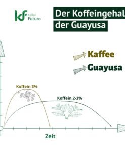 Ceai energizant natural Napumarka – Energie si focus cu guarana si coca