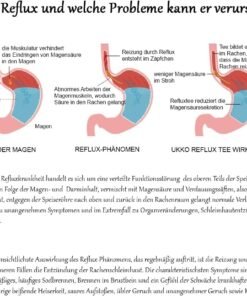 Natural Ceai Digestiv pentru Stomac si Balonare – Ceai pentru Digestie Usoara si Reflux