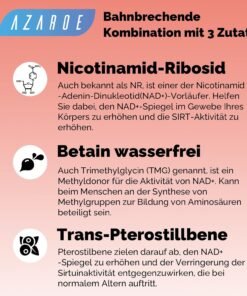 Alternative view of Liposomal NR 2000 mg cu Pterostilbene & TMG – supliment nad+, energie celulară & anti-aging