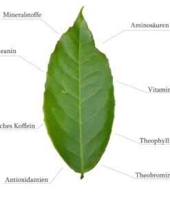 Ceai energizant natural Napumarka – Energie si focus cu guarana si coca