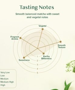 Pudră de ceai verde Matcha VAHDAM, pudră de ceai verde Matcha japonez 100% pur și autentic, Matcha culinar clasic din Japonia, 100 g, peste 50 de cești