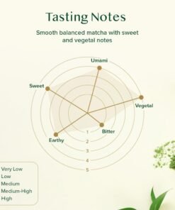 VAHDAM, Pudră de ceai verde Matcha cu vanilie (100 g, peste 100 de căni) Pudră de ceai Matcha 100% naturală, de origine japoneză, de calitate premium | Preparați un latte delicios