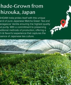 VAHDAM, Pudră de ceai verde Matcha cu vanilie (100 g, peste 100 de căni) Pudră de ceai Matcha 100% naturală, de origine japoneză, de calitate premium | Preparați un latte delicios
