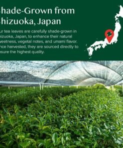 Pudră de ceai verde Matcha VAHDAM, pudră de ceai verde Matcha japonez 100% pur și autentic, Matcha culinar clasic din Japonia, 100 g, peste 50 de cești