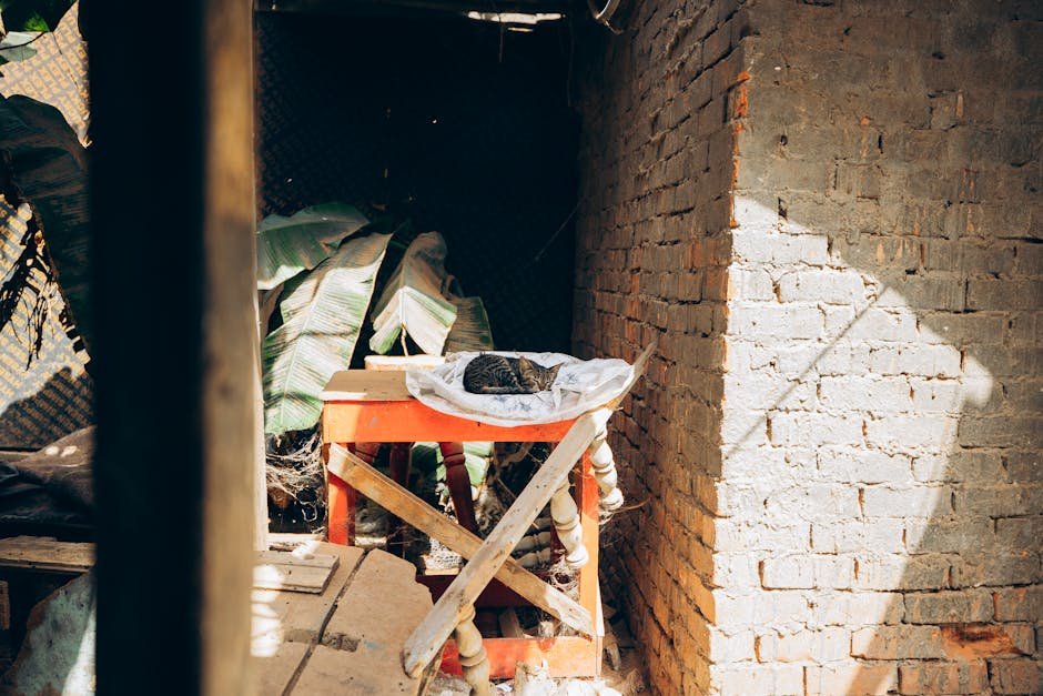 Somnul nu se repară seara, se repară ziua.