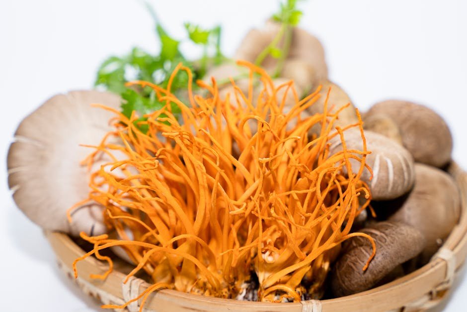 Ciupercile medicinale: reishi, lion’s mane, cordyceps – ce fac diferit?