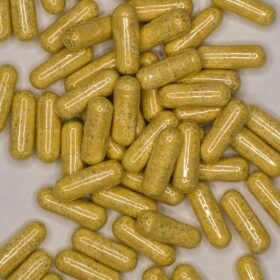 nootropice fara reteta